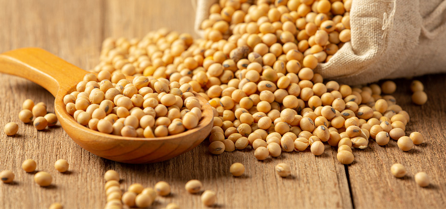 清本源，美國97%非基改大豆卵磷脂