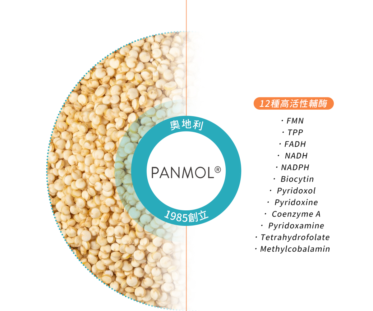 藜麥B群，富含12種高活性輔酶