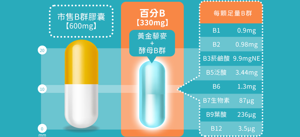 很多年長者容易缺乏B群，同時吞嚥能力也下降，為了這點，我們特別做成市售最迷你的天然B群，size更小、效用更足、更好吞嚥！