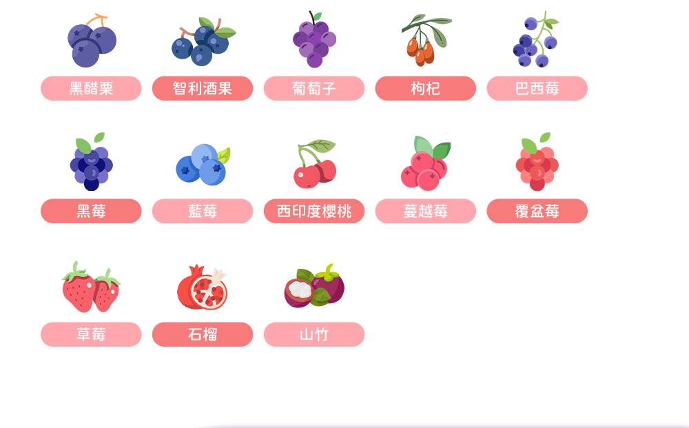 13種莓果