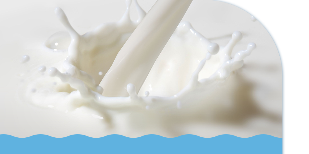 紐西蘭乳脂球膜＋天然牛奶鈣