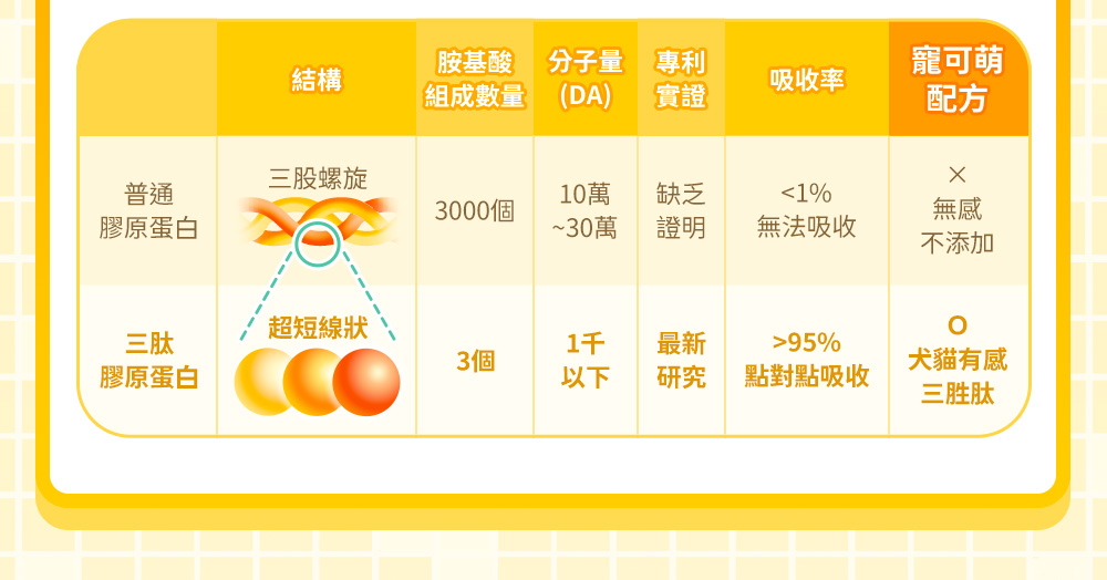 普通膠原蛋白V.S三肽膠原蛋白