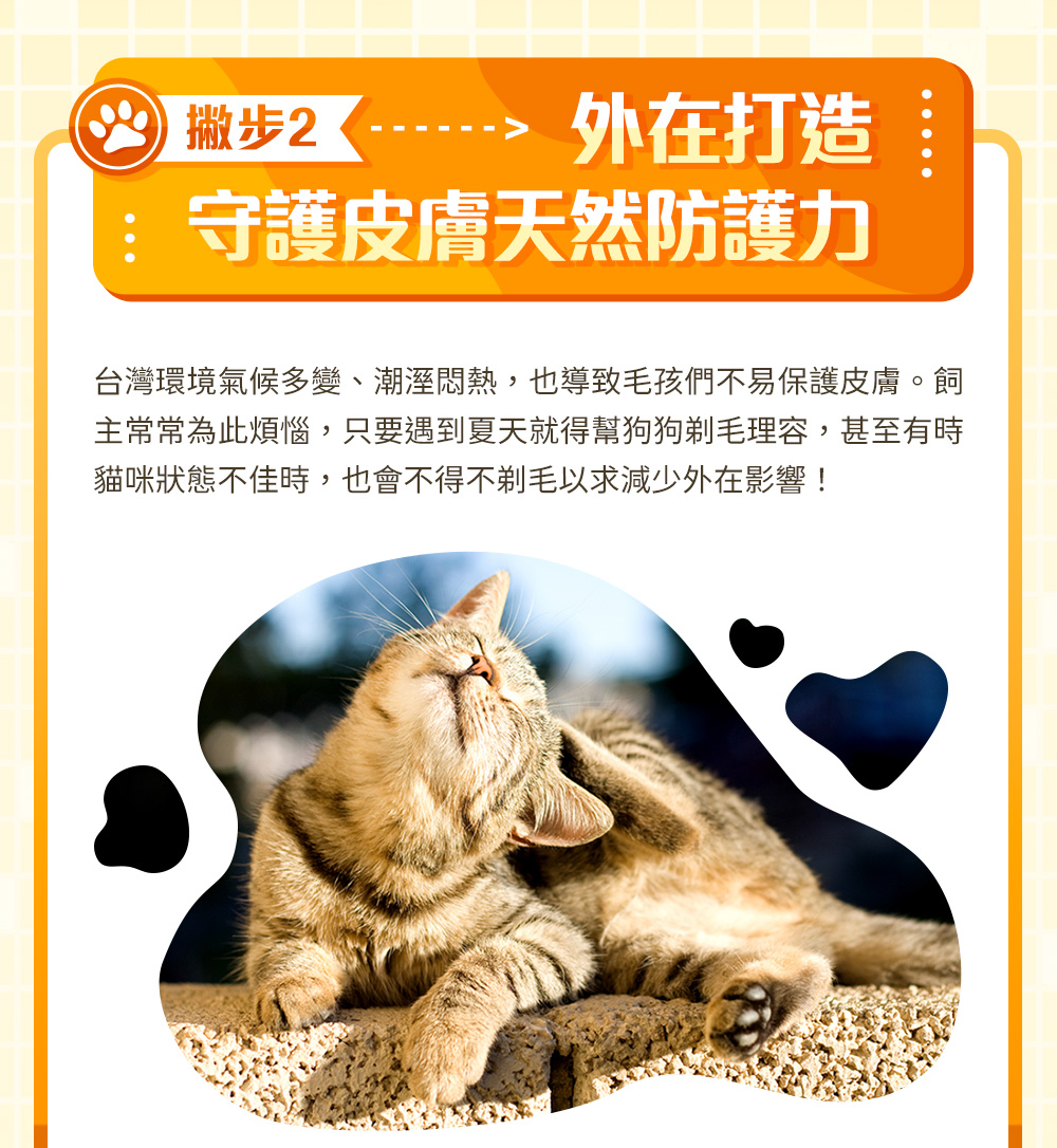 撇步2：守護皮膚天然防護力
