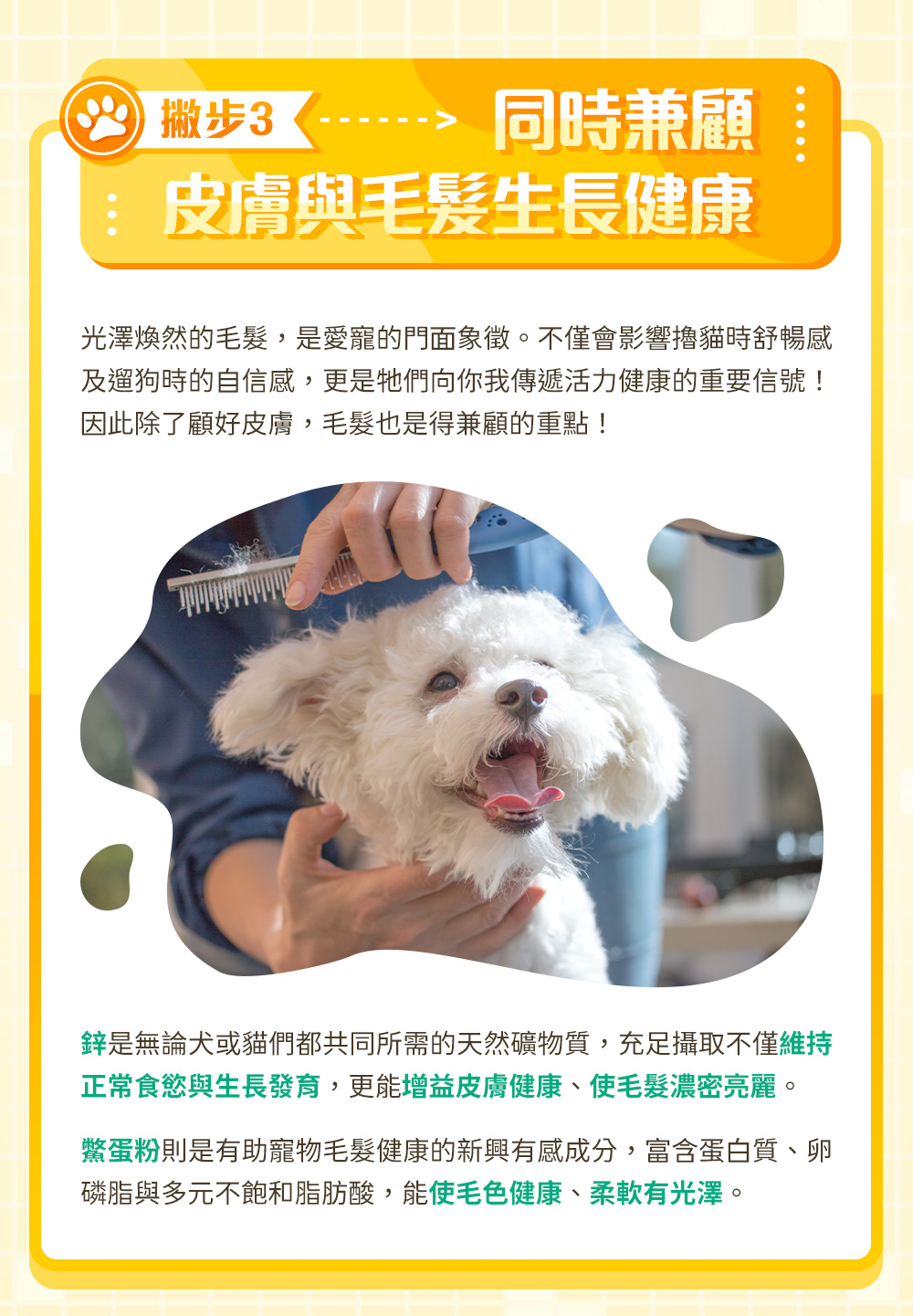 撇步3：同時兼顧皮膚與毛髮生長健康