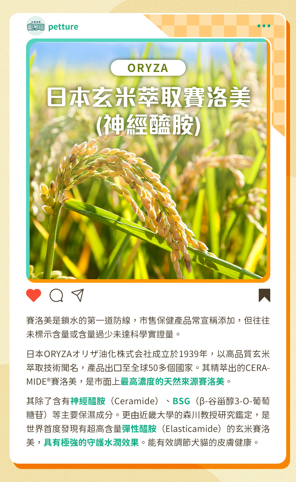 日本ORYZAオリザ油化株式会社以高品質玄米萃取技術聞名，其精萃出的CERAMIDE®賽洛美，是市面上最高濃度的天然來源賽洛美。其除了含有神經醯胺、BSG等主要保濕成分。更有超高含量彈性醯胺的玄米賽洛美，具有極強的守護水潤效果。能有效調節犬貓的皮膚健康。