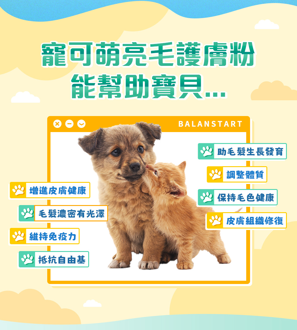 寵可萌亮毛護膚粉能幫助寶貝——增進皮膚健康，毛髮濃密有光澤，維持免疫力，抵抗自由基，助毛髮生長發育，調整體質，保持毛色健康，皮膚組織修復