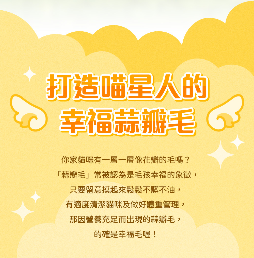 打造喵星人的幸福蒜瓣毛