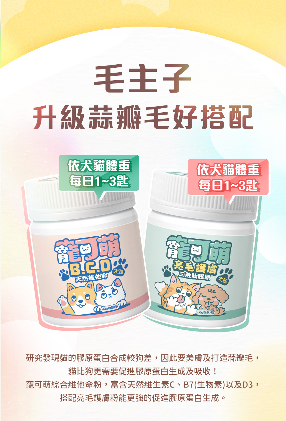 毛主子升級蒜瓣毛好搭配——寵可萌綜合維他命粉，富含天然維生素C、B7(生物素)以及D3，搭配亮毛護膚粉能更強的促進膠原蛋白生成。