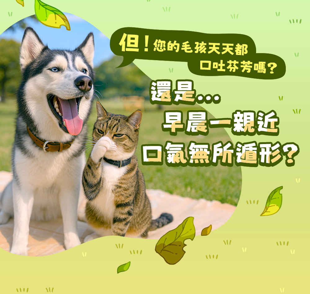 但!您的毛孩天天都口吐芬芳嗎?還是⋯⋯早晨一親近,口氣無所遁形?
