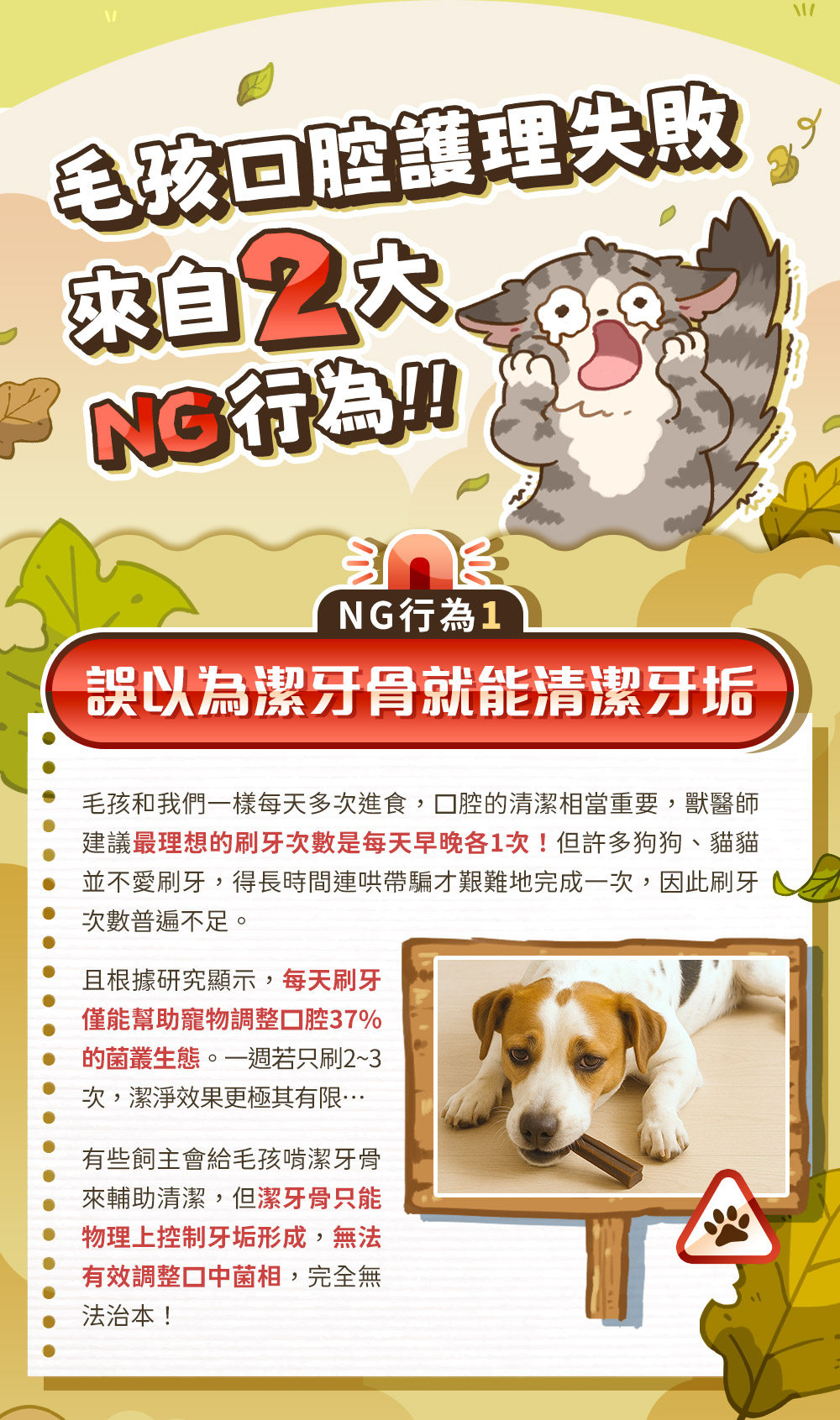 毛孩口腔護理失敗來自2大NG行為!NG1:誤以為潔牙骨就能清潔牙垢。