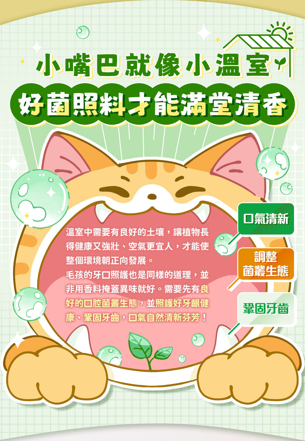 小嘴巴就像小溫室,好菌照料才能滿堂清香。