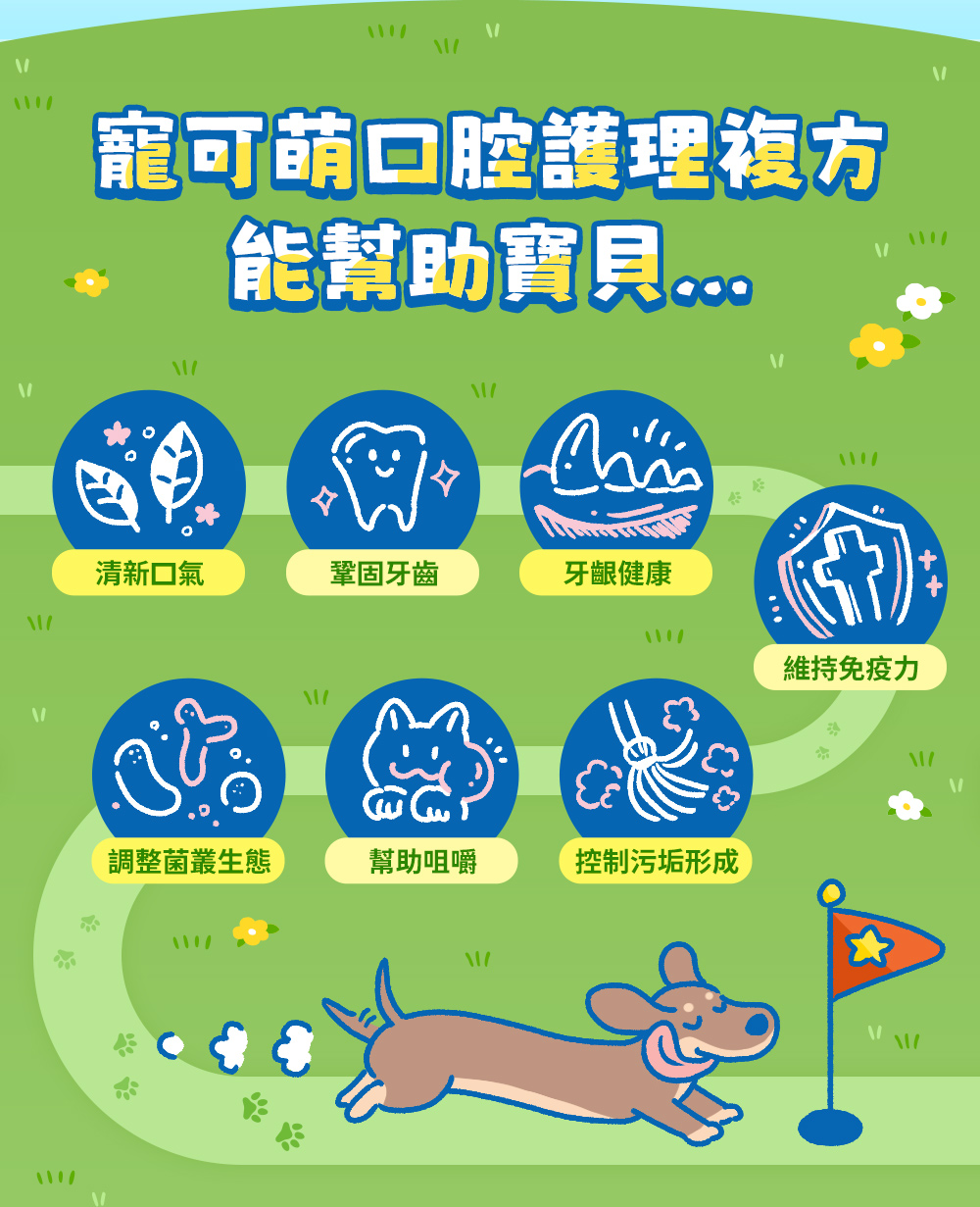 寵可萌口腔護理複方能幫助寶貝——清新口氣,鞏固牙齒,牙齦健康,維持免疫力,控制污垢行程,幫助咀嚼,調整菌叢生態。