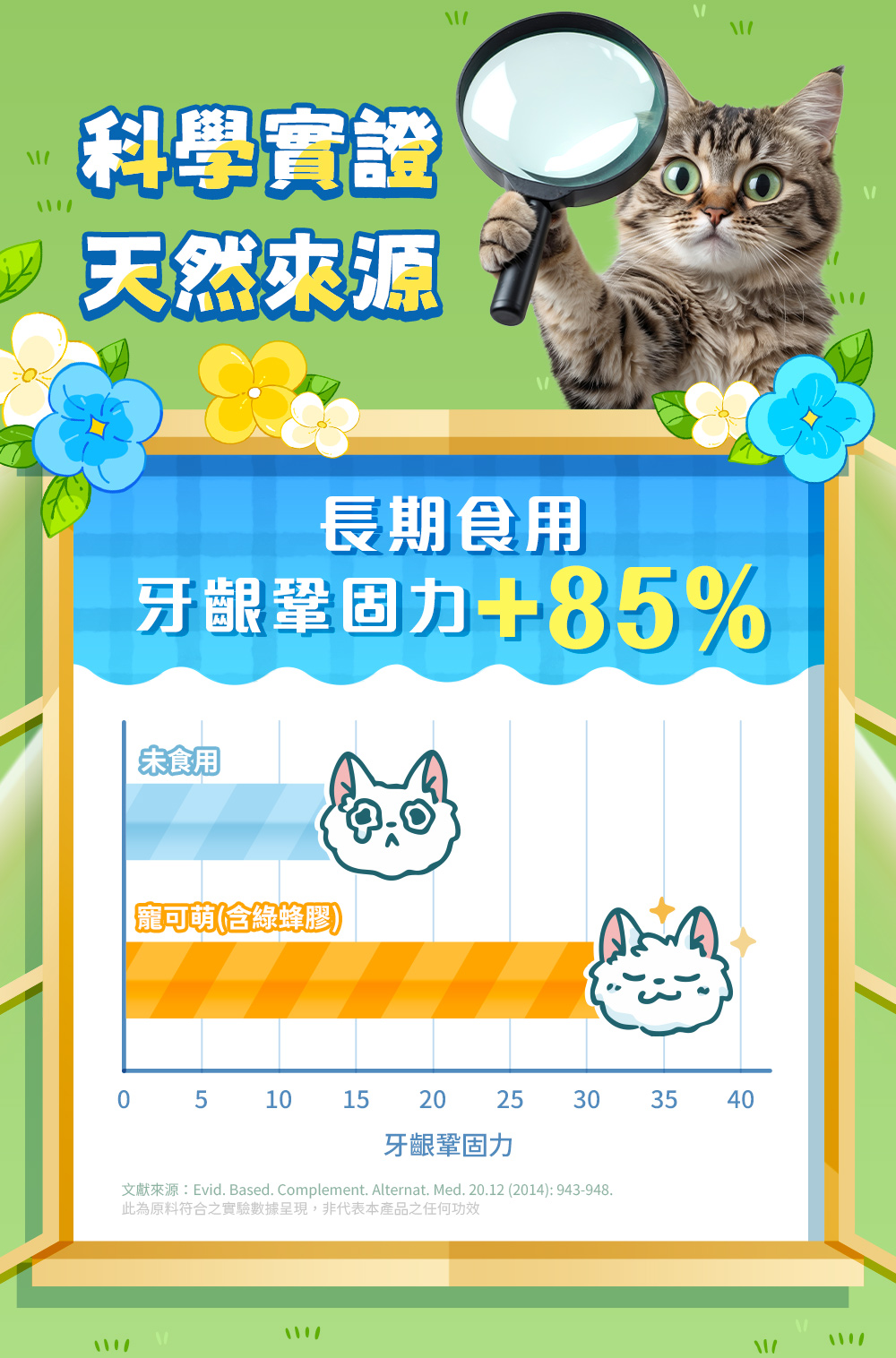 科學實證・天然來源:長期食用,牙齦鞏固力+85%
