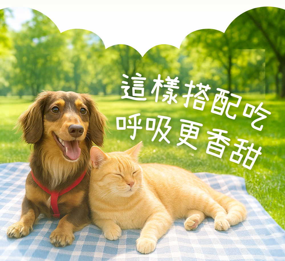 這樣搭配吃,呼吸更香甜