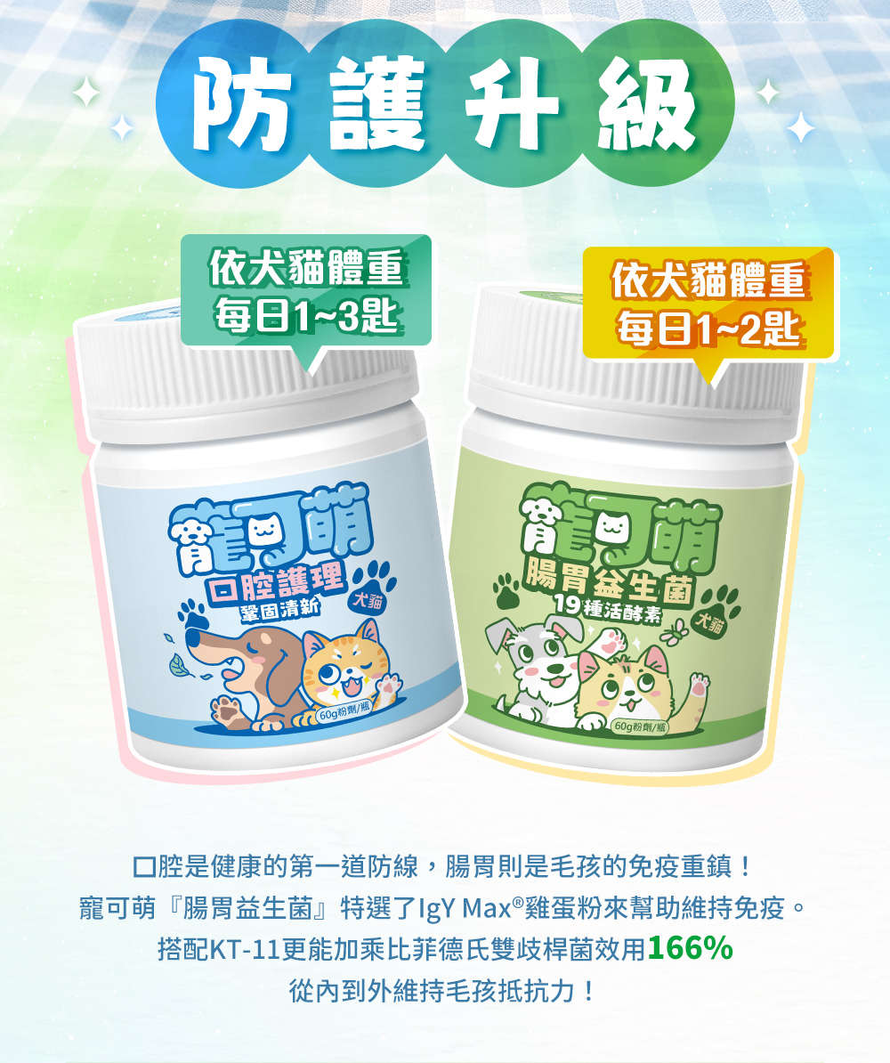防護升級——口腔是健康的第一道防線,腸胃則是毛孩的免疫重鎮!寵可萌『腸胃益生菌』特選了IgY Max®雞蛋粉來幫助免疫。搭配KT-11更能加乘比菲德氏雙歧桿菌效用166%,從內到外維持毛孩抵抗力!