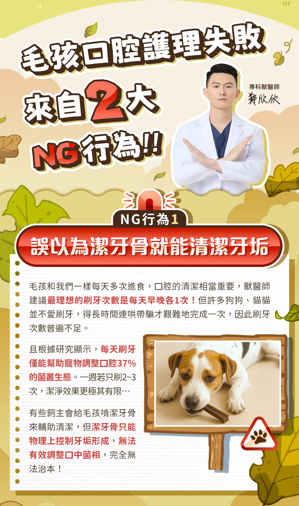 毛孩口腔護理失敗來自2大NG行為!NG1:誤以為潔牙骨就能清潔牙垢。