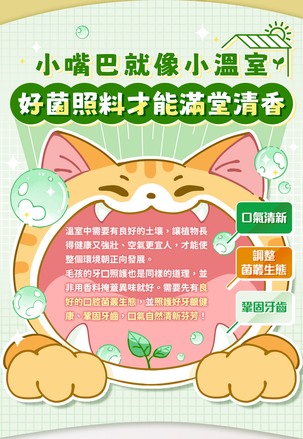 小嘴巴就像小溫室,好菌照料才能滿堂清香。