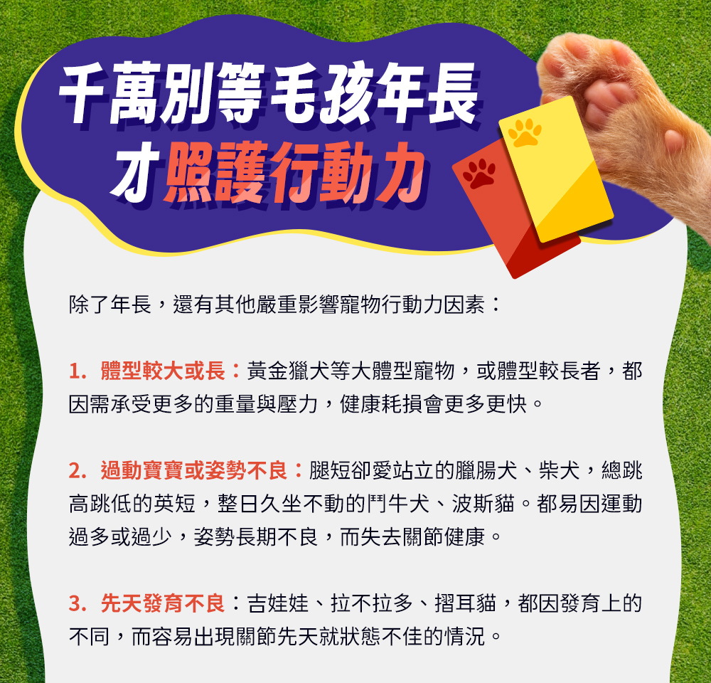 千萬別等毛孩年長，才照護行動力。除了年長，還有以下影響因素：體型較大或較長；過動寶寶或姿勢不良；先天發育不良。