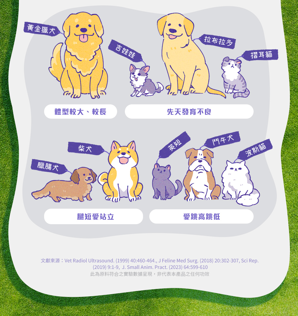 體型較大或較長：黃金獵犬。先天發育不良：吉娃娃、拉布拉多、摺耳貓。腿短愛站立：臘腸犬、柴犬。愛跳高跳低：英短、鬥牛犬、波斯貓。