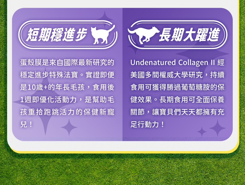 短期穩進步：蛋殼膜實證食用後1週即優化活動力。長期大躍進：非變II型膠原長期食用可全面保養關節。