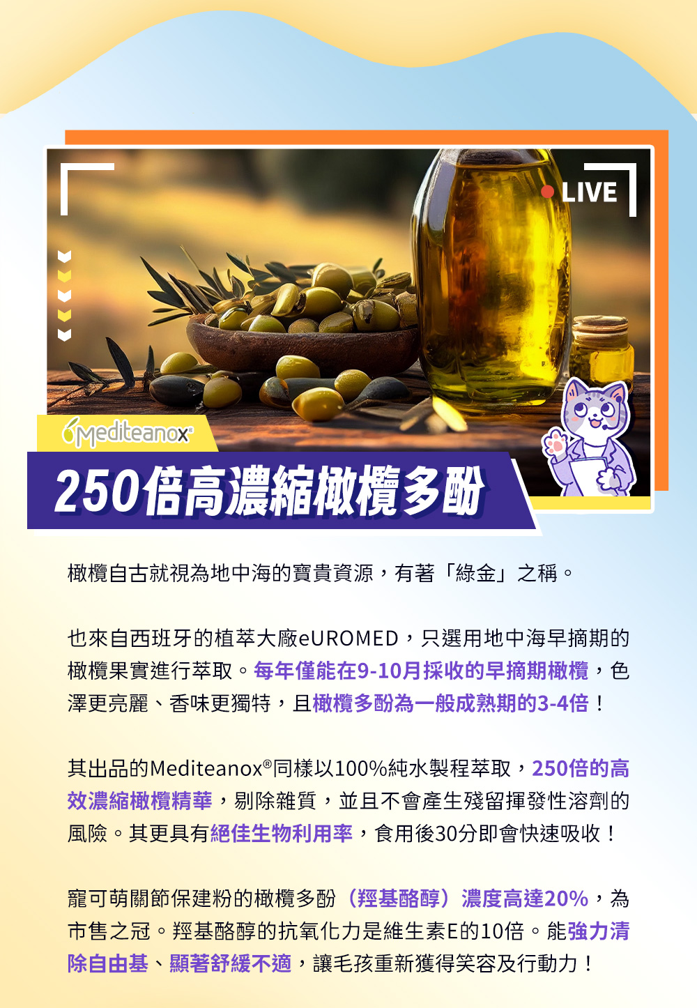 250倍高濃縮橄欖多酚——西班牙的植萃大廠eUROMED，只選用每年僅能在9-10月採收的早摘期橄欖，橄欖多酚為一般成熟期的3-4倍！其出品的Mediteanox®同樣以100%純水製程萃取，250倍的高效濃縮橄欖精華。能強力清除自由基、顯著舒緩不適。