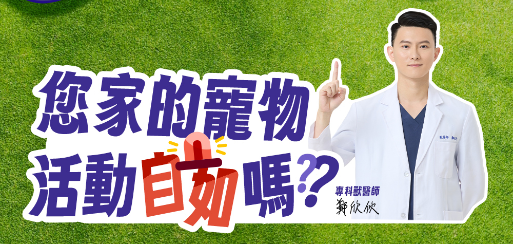 您家的寵物活動自如嗎?