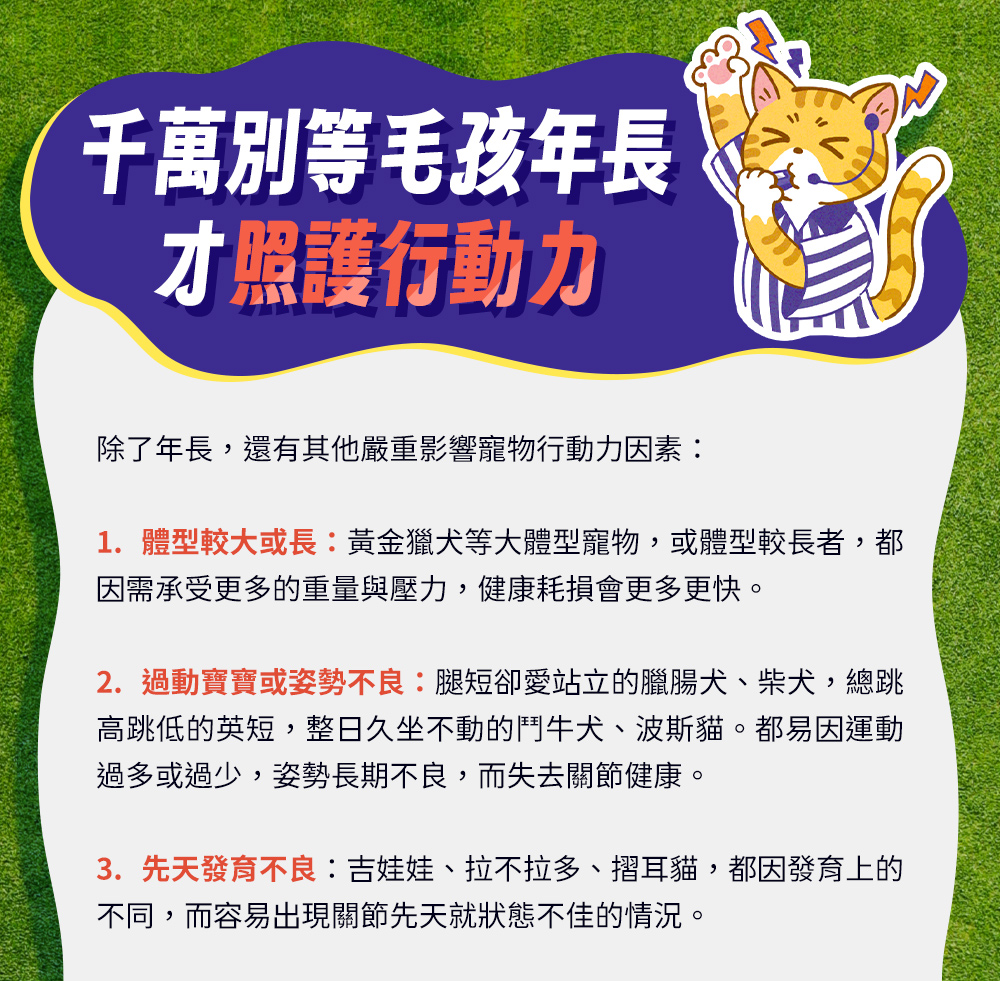 千萬別等毛孩年長,才照護行動力。除了年長,還有以下影響因素:體型較大或較長;過動寶寶或姿勢不良;先天發育不良。