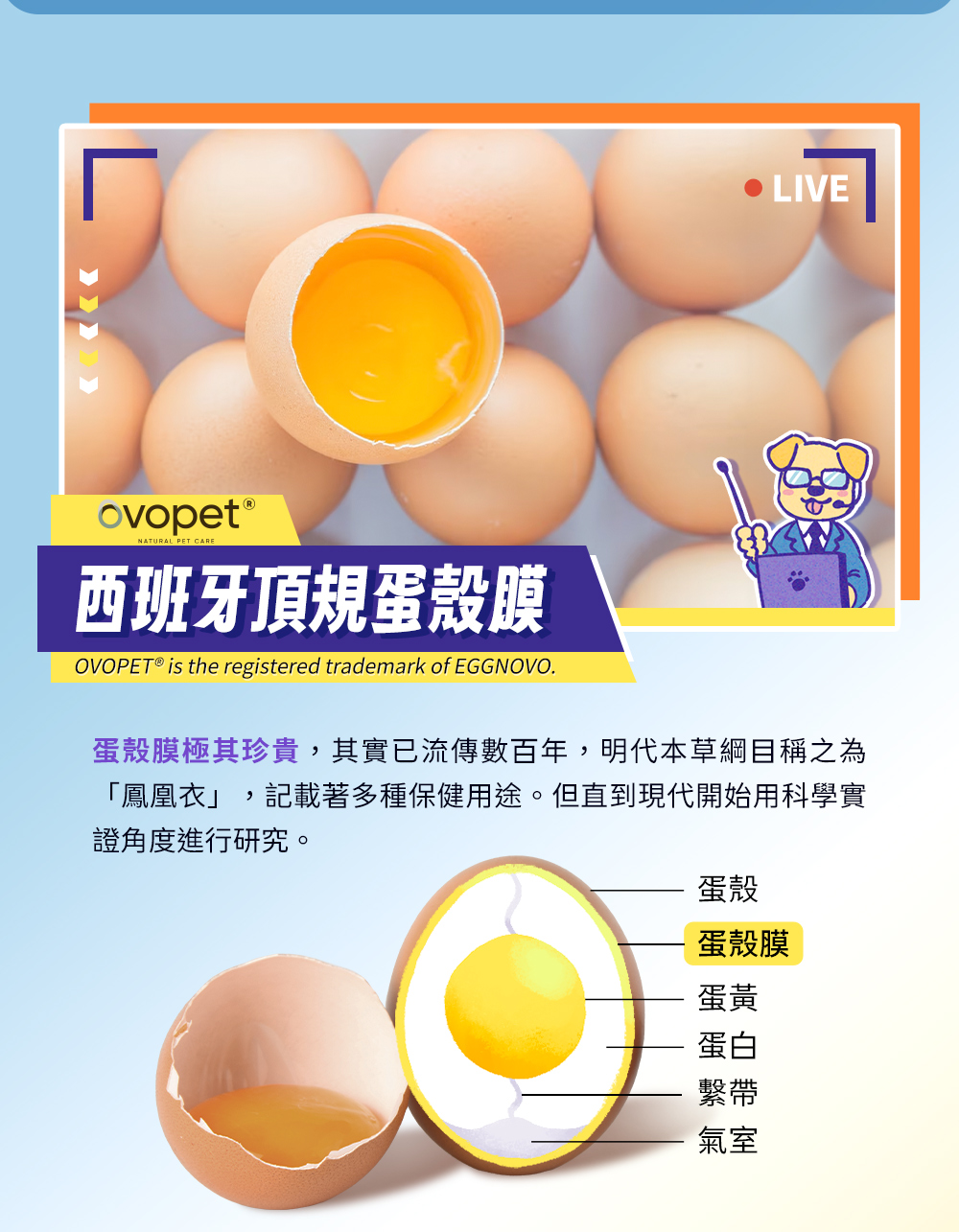西班牙頂規蛋殼膜——蛋殼膜極其珍貴,明代本草綱目稱之為『鳳凰衣』,記載著多種保健用途。