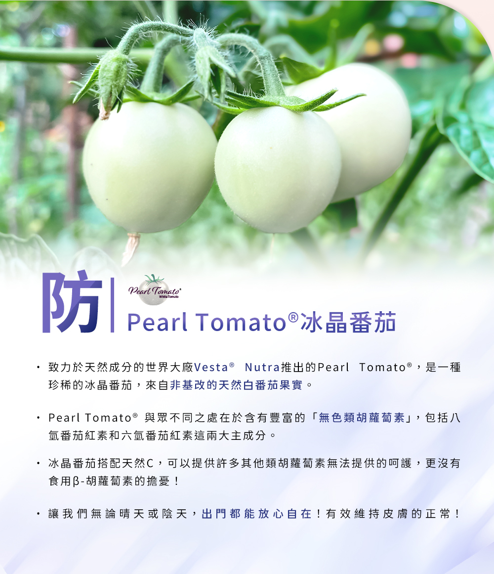 防-Pearl Tomato®冰晶番茄，致力於天然成分的世界大廠Vesta® Nutra推出的Pearl Tomato®，是一種珍稀的冰晶番茄，來自非基改的天然白番茄果實。
