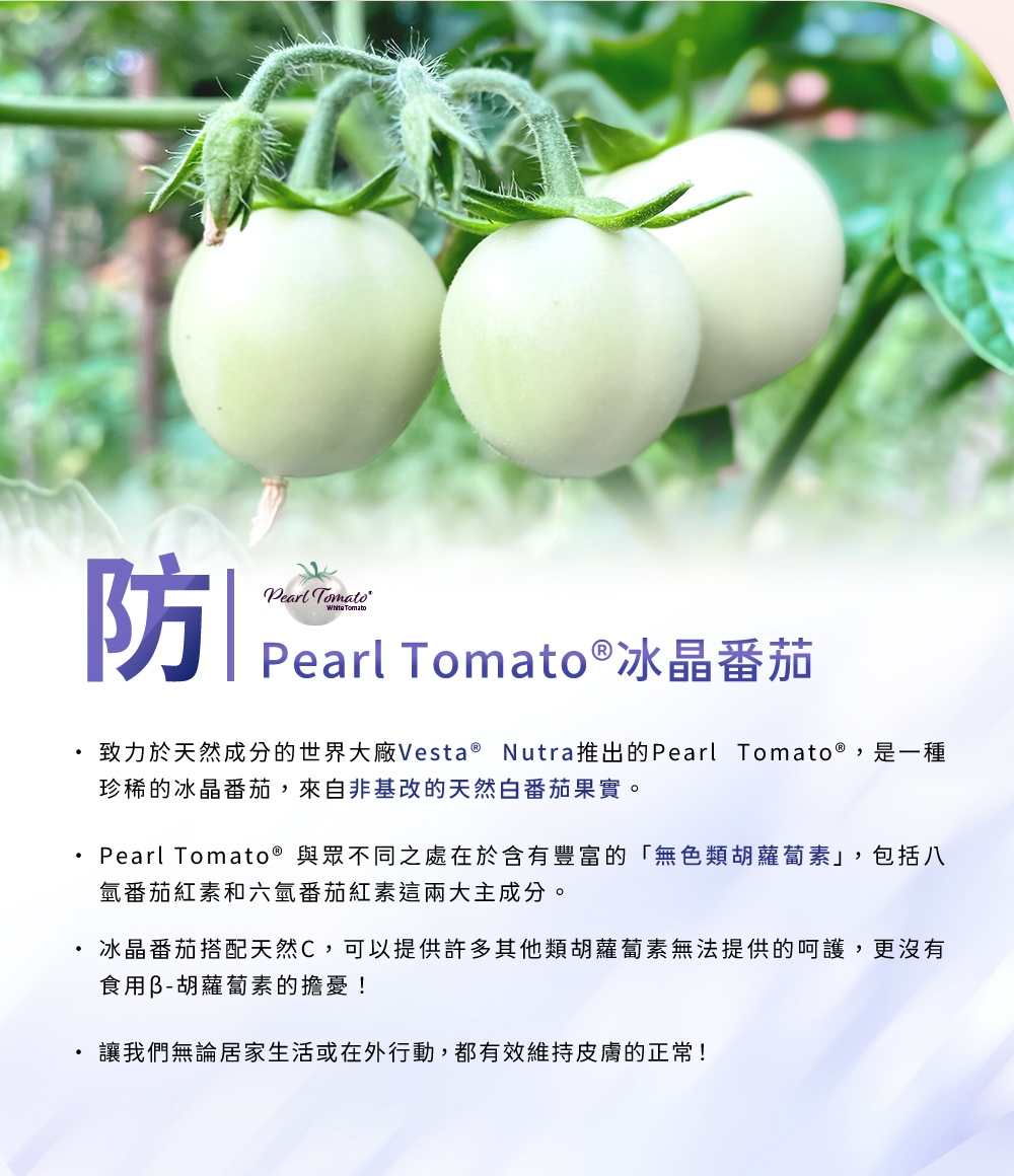 防-Pearl Tomato®冰晶番茄，致力於天然成分的世界大廠Vesta® Nutra推出的Pearl Tomato®，是一種珍稀的冰晶番茄，來自非基改的天然白番茄果實。