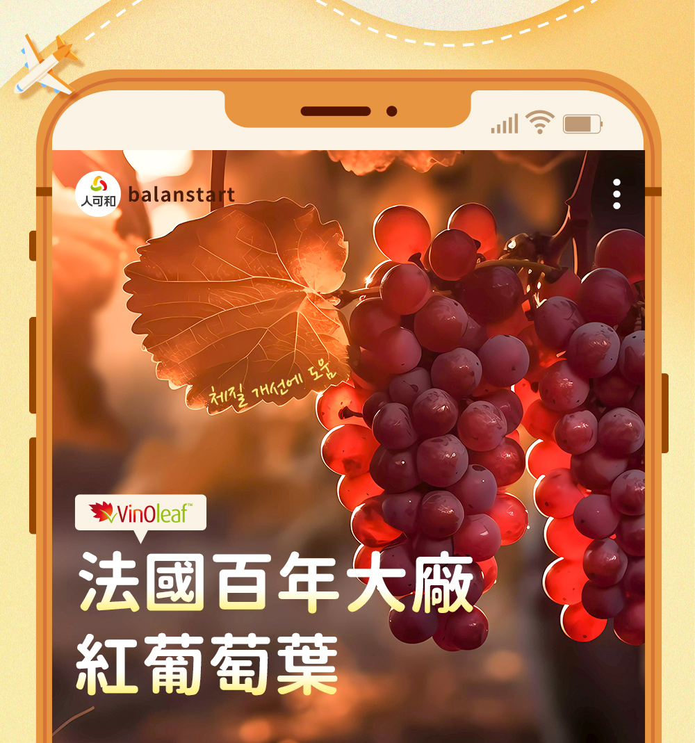 法國百年大廠紅葡萄葉