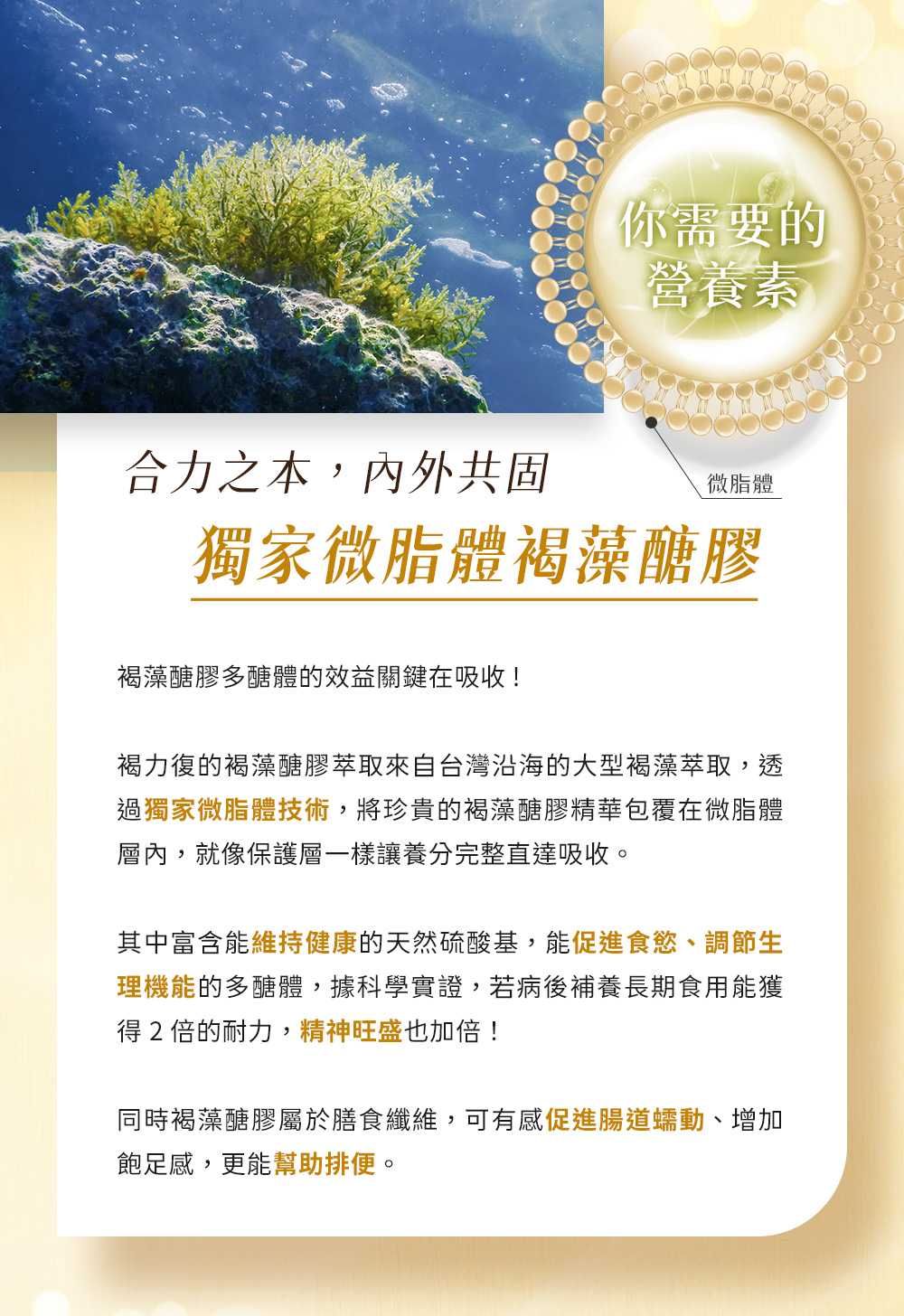 合力之本，內外共固，獨家微脂體褐藻醣膠。維持健康的天然硫酸基，能促進食慾、調節生理機能的多醣體，科學實證，並候補養長期食用能獲得2倍耐力！精神旺盛也加倍！同時因屬於膳食纖維，可有感促進腸道蠕動、增加飽足感，更能幫助排便。