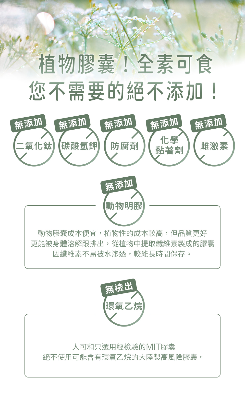 植物膠囊！全素可食，圖示無二氧化鈦、無碳酸氫鋰、無防腐劑、無黏著劑、無雌激素、無動物明膠，並標「無檢出環氧乙烷」