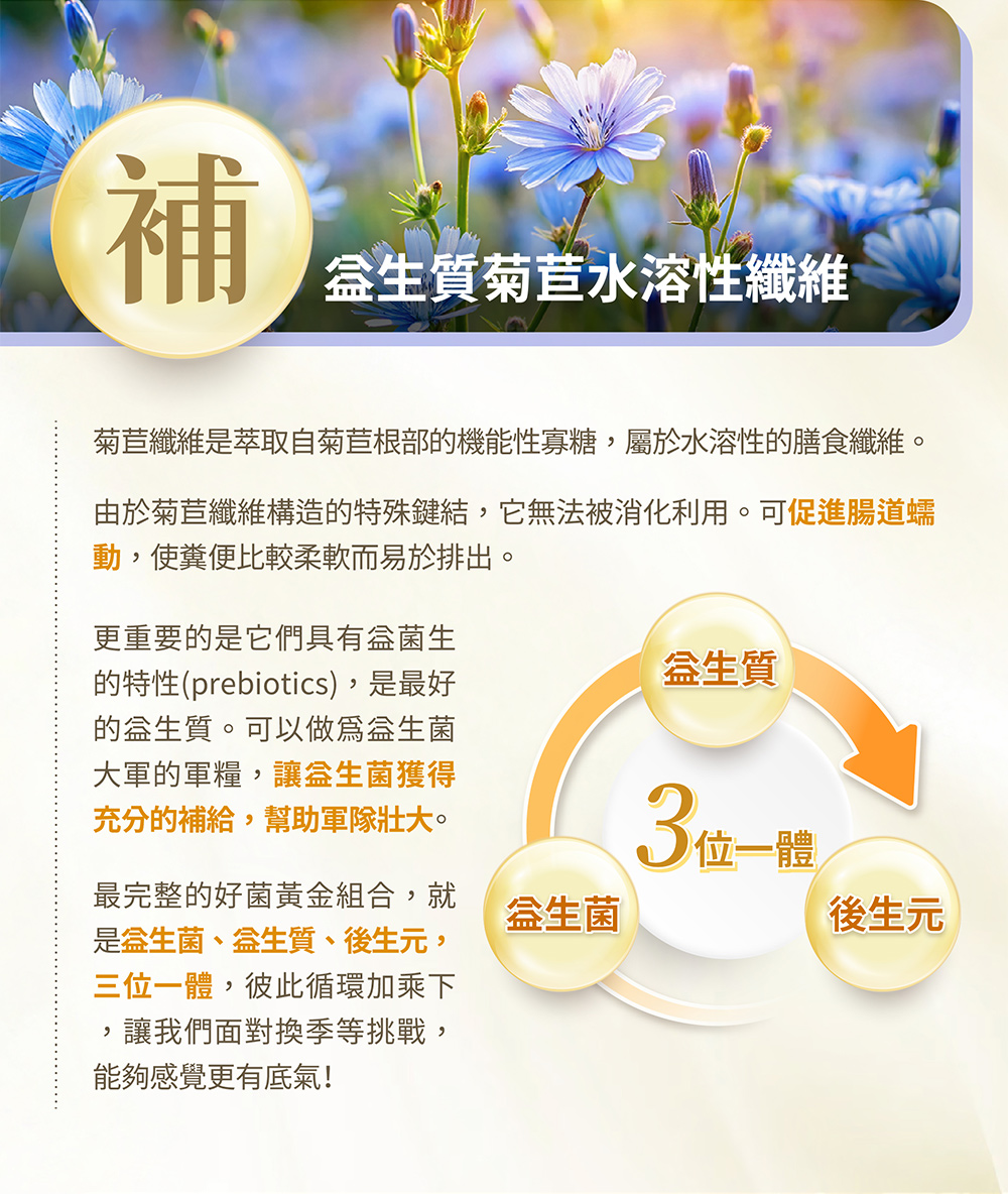 菊苣纖維可促進床道蠕動，更重要的是他們具有益生菌的特性，是最好的益生質，最完整的好菌組合，就是益生菌、益生質、後生元，三位一體