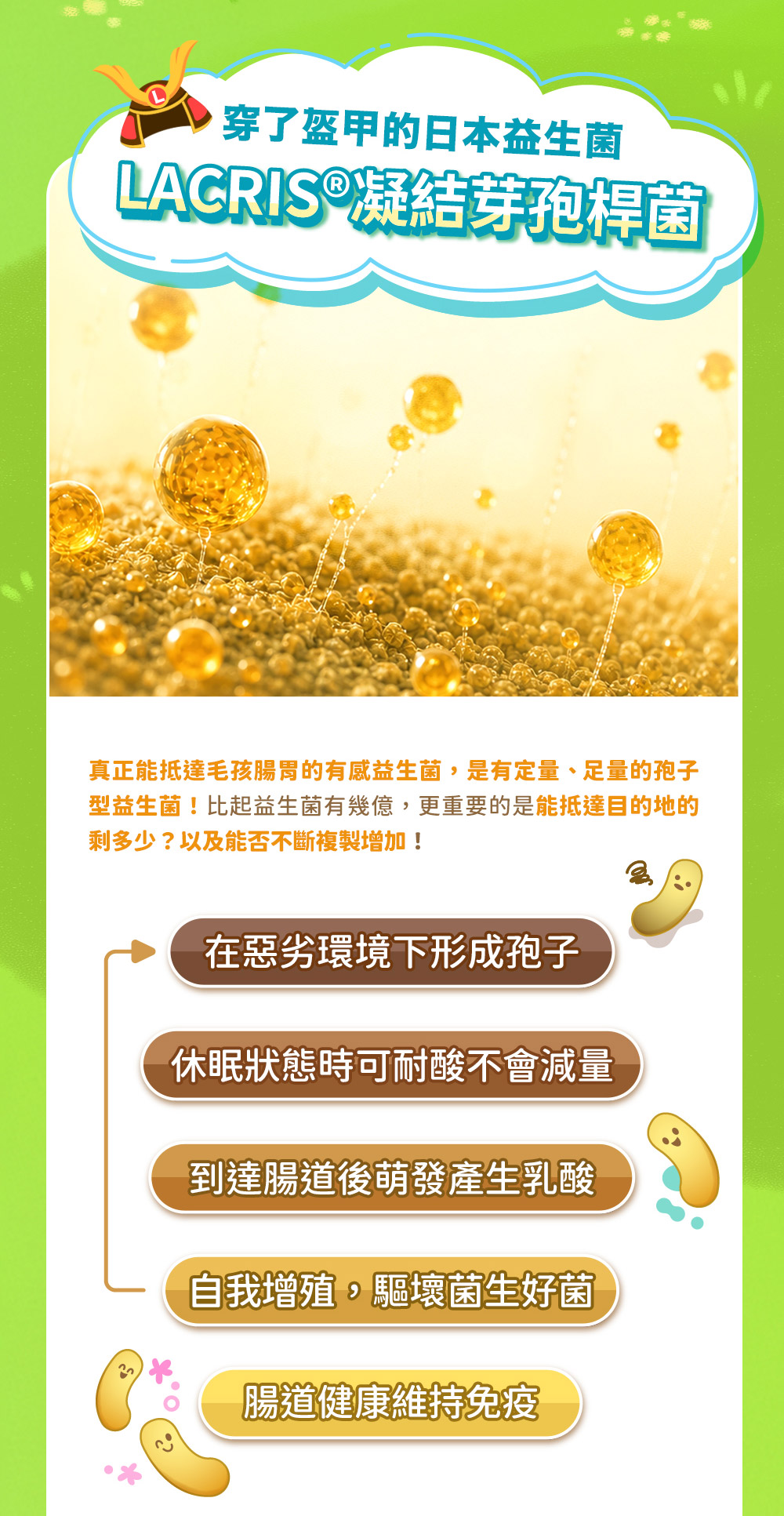 LACRIS®凝結芽孢桿菌，真正能抵達毛孩腸胃的有感益生菌，是有定量、足量的孢子型益生菌！