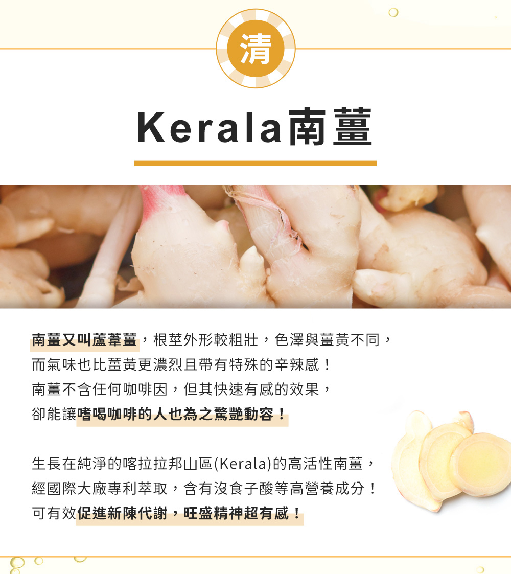 清-Kerala南薑,促進新陳代謝,旺盛精神超有感!