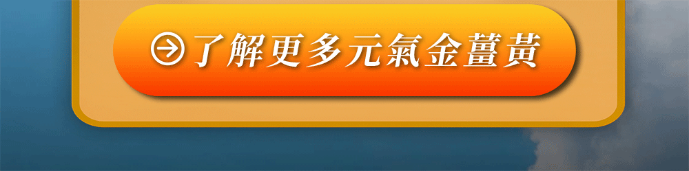 ｜白金夜樟組合 (金薑黃30粒×2 樟芝60粒×1)｜白天調補好精神，夜晚護肝免疫力UP，了解更多元氣金薑黃