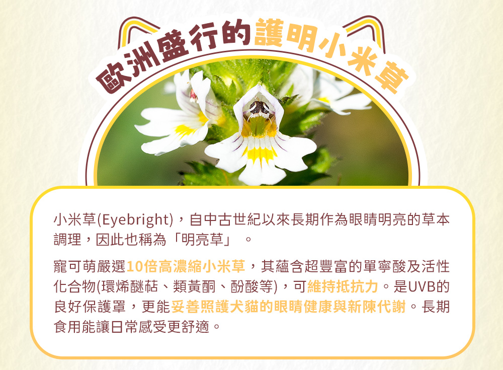 歐洲盛行的護明小米草-妥善照護犬貓的眼睛健康與新陳代謝