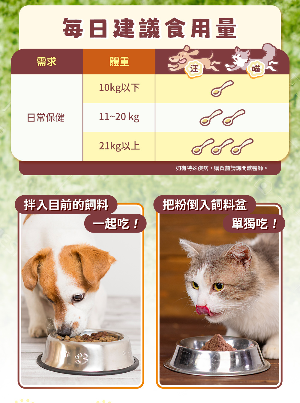 每日建議食用量