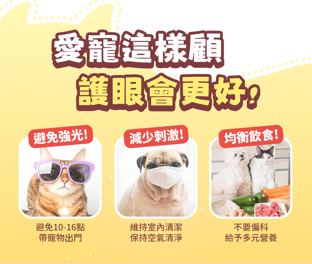 愛寵這樣顧護眼會更好