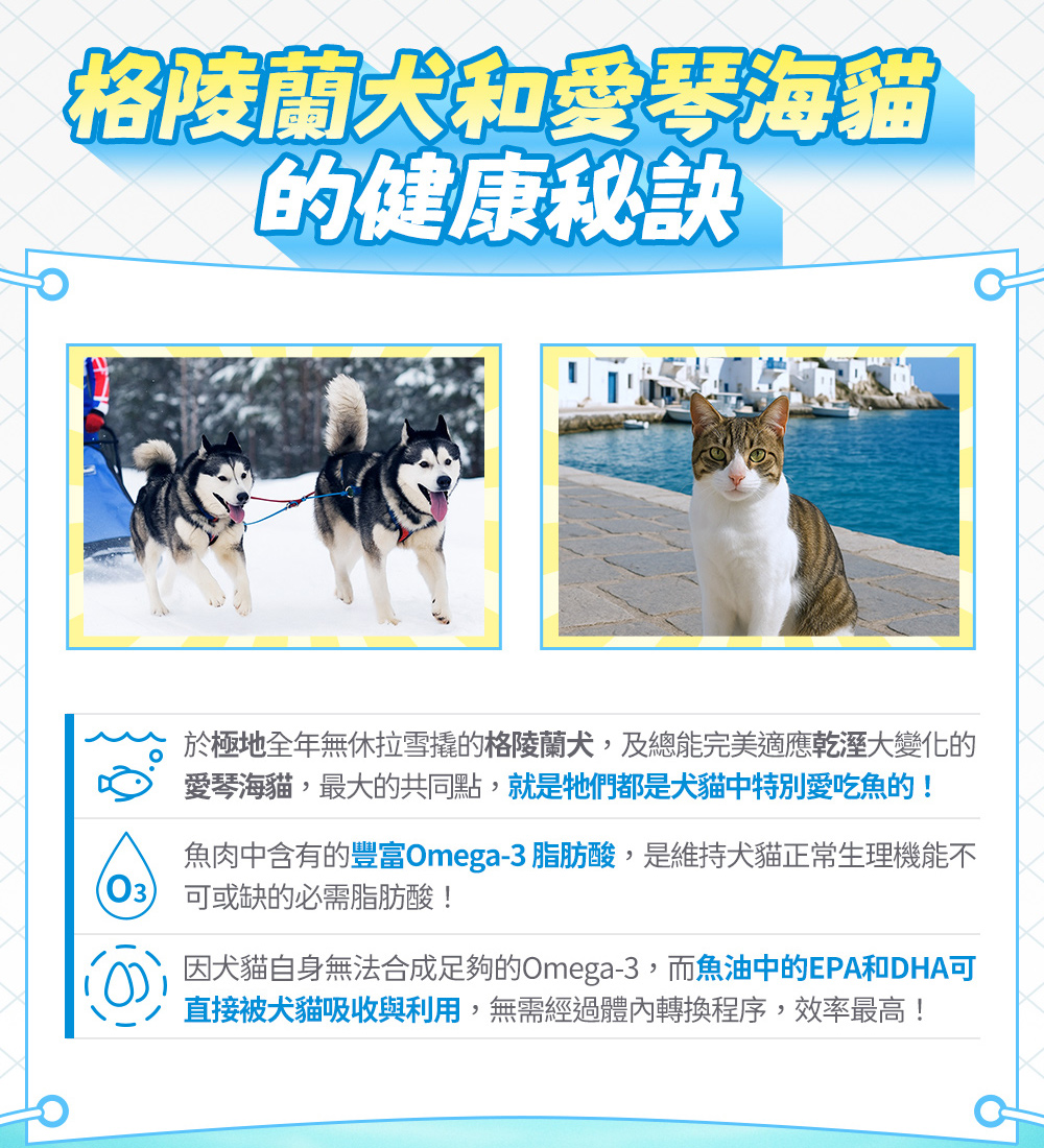 格陵蘭犬和愛琴海貓的健康秘訣