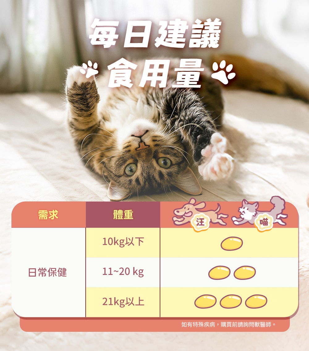每日建議食用量