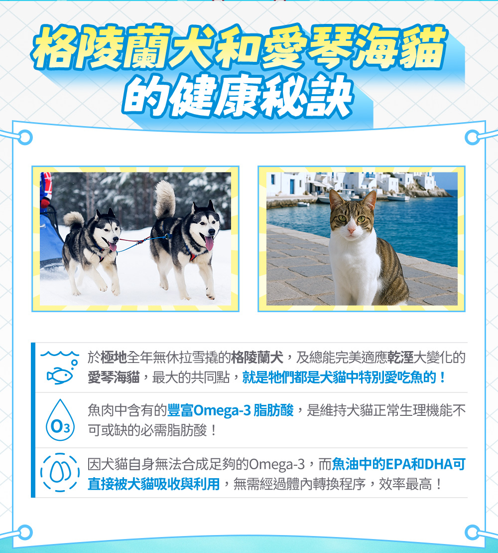 格陵蘭犬和愛琴海貓的健康秘訣