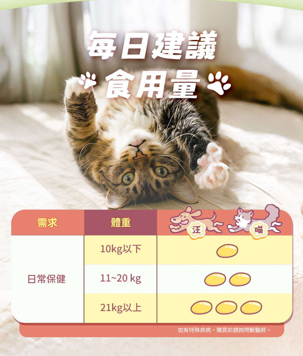 每日建議食用量