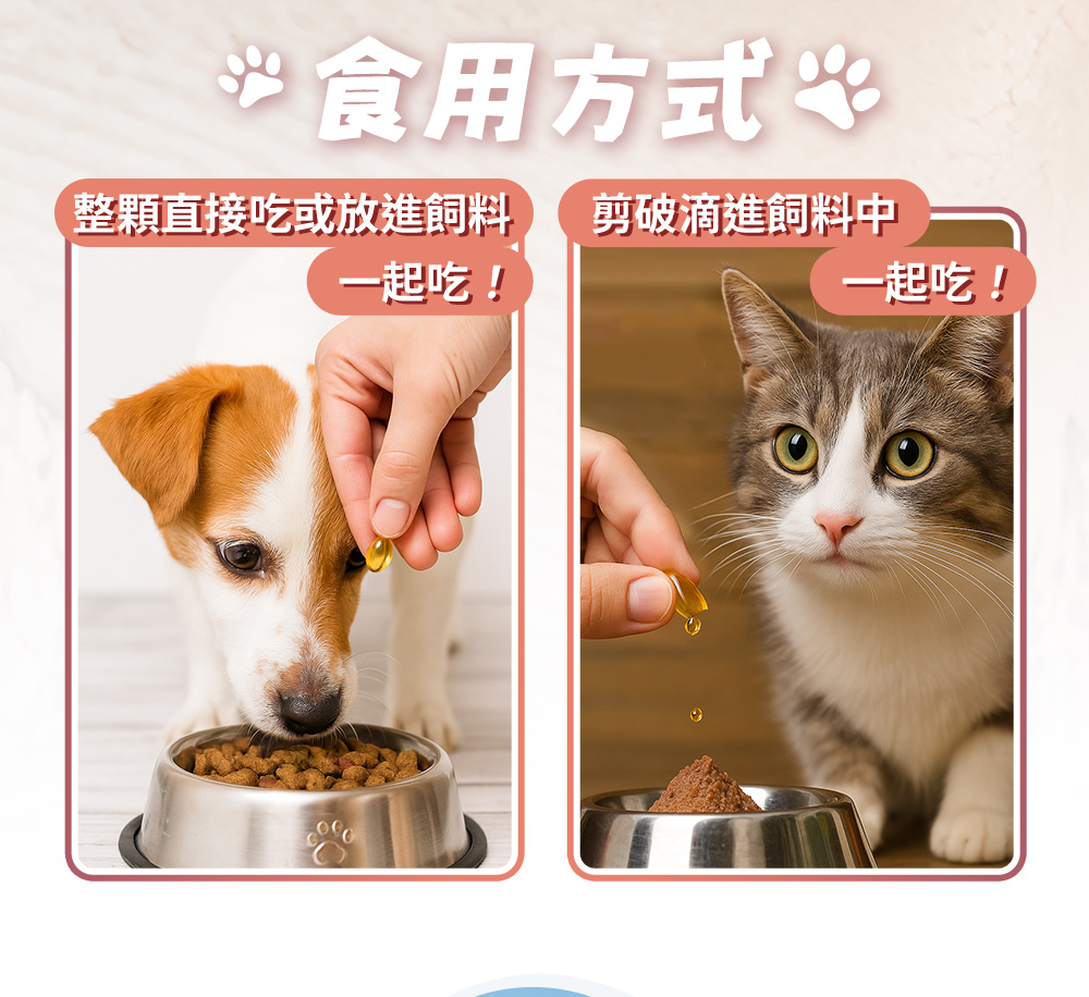 食用方式:整顆直接吃或放進飼料一起吃!剪破滴進飼料中一起吃!