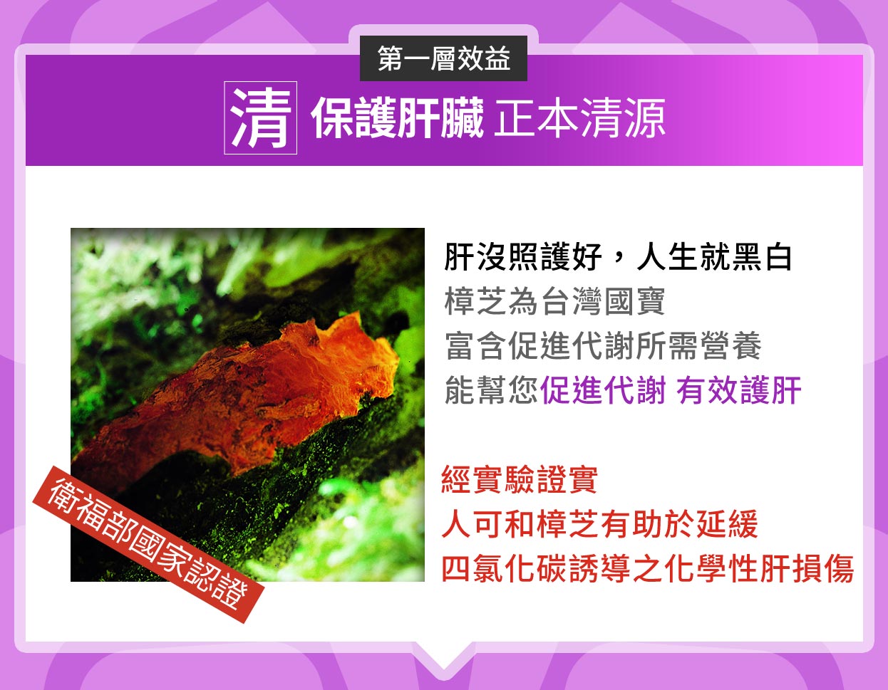 第一層效益 清 保護肝臟 正本清源