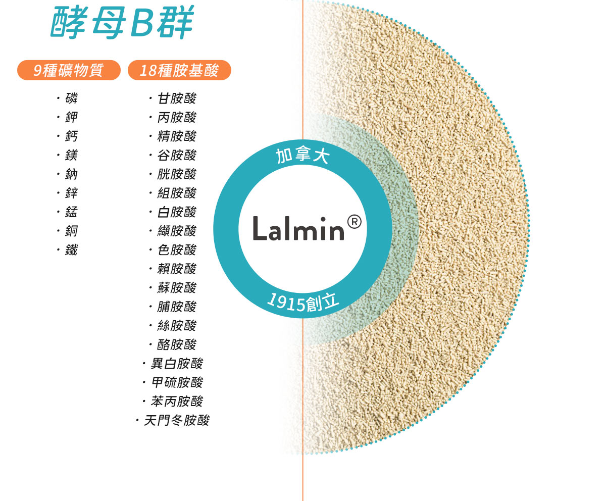 Lalmin®的酵母B群中包含9種礦物質、18種胺基酸。
