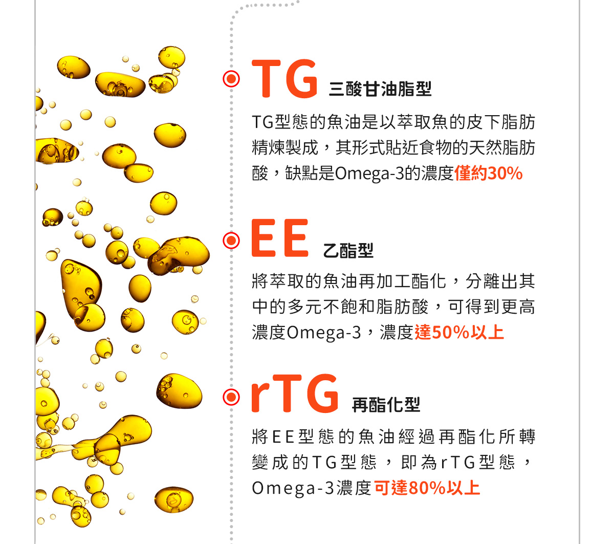 魚油三大型態比較：TG三酸甘油酯型Omega-3僅約30%、EE乙酯型濃度達50%以上、rTG再酯化型Omega-3濃度可達80%以上