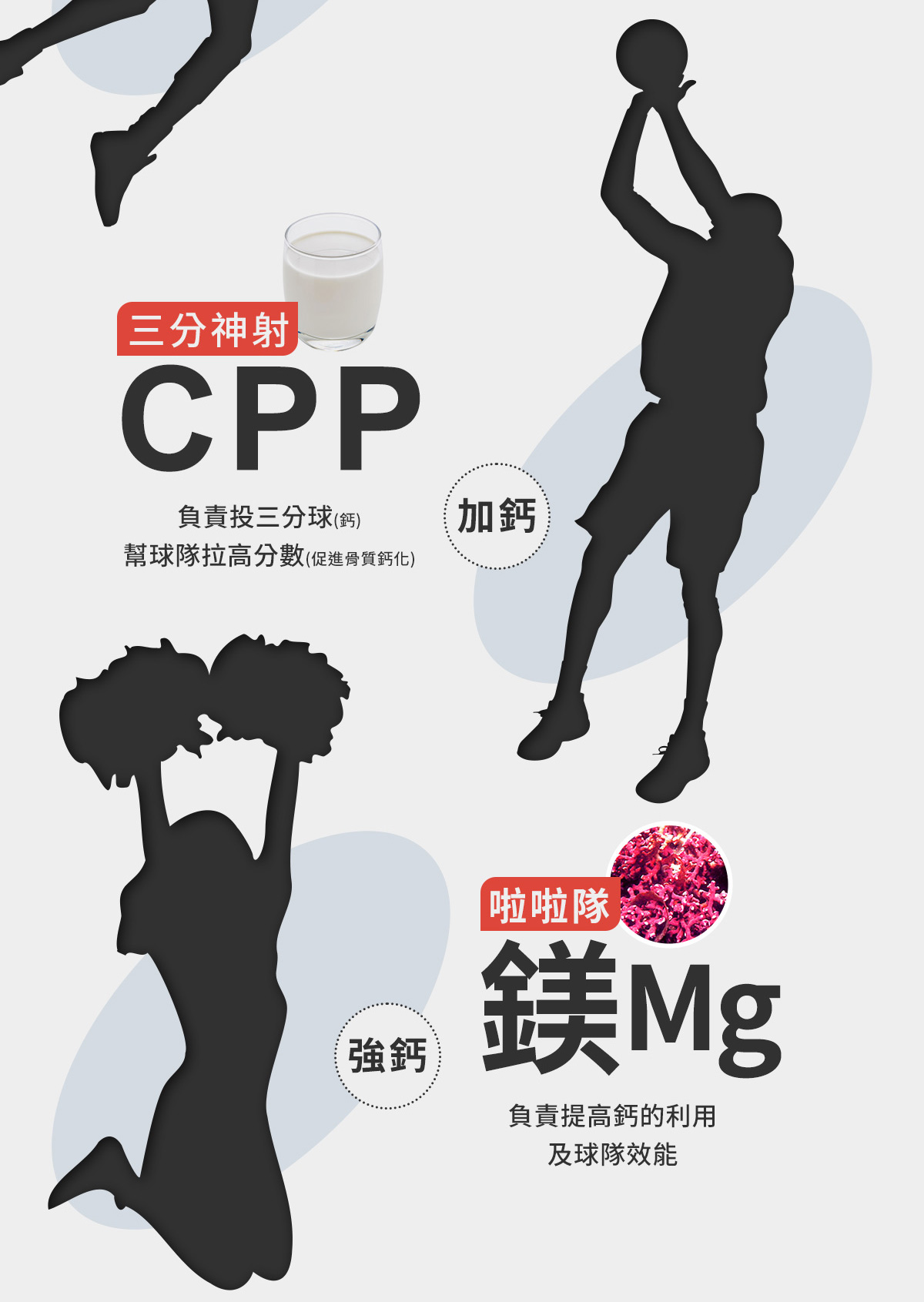 海藻鈣＋蕎麥D3：三分神射-CPP(加鈣)；啦啦隊-鎂Mg(強鈣)