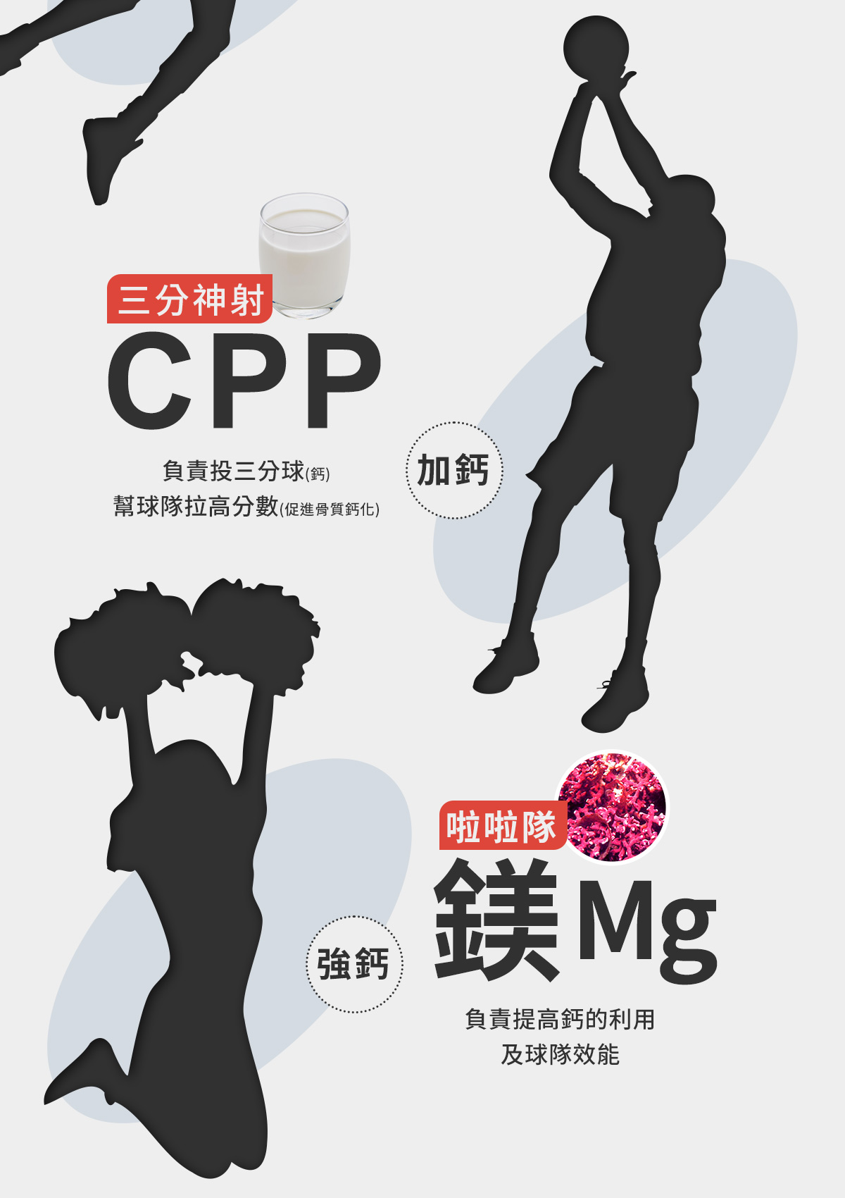 海藻鈣＋蕎麥D3：三分神射-CPP(加鈣)；啦啦隊-鎂Mg(強鈣)